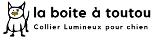 Collier lumineux et led pour chien - La boite à toutou