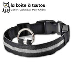 Le collier lumineux noir pour chien convient à toutes les tailles. Facile et rapide à mettre, pour ne pas perdre de vue votre chien.