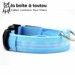 Le collier lumineux bleu pour chien permet de voir votre chien lorsqu'il commence à faire sombre.