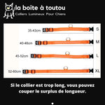 Les colliers lumineux pour chien de la boîte à chien vous accompagneront dans vos promenades nocturnes...